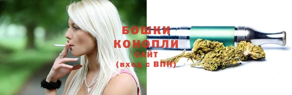 сатива Балахна