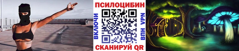 ссылка на мегу рабочий сайт  Курчалой  Псилоцибиновые грибы ЛСД 